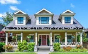 Professional Real Estate Agent