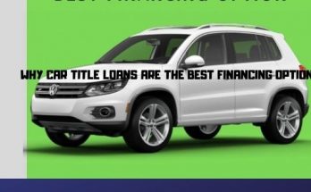 Car Title Loans